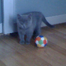 ������ ���������� �������. - ����������� 2