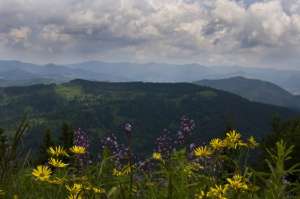 ������ ���������� �������, ��� � ������ ���������, ��� ������� ������� �������� - ����������� 1