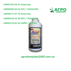 ������ ���������� ������� ���� - ����������� 1