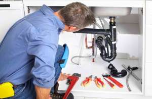 ������ ���������� ������� ������ ���� - ����������� 1