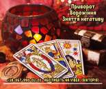 ������� � ����������: ������ ���������� ������� �����-���������. ��������. �������� �������� �� ����.