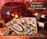 ������� � ����������: ������ ���������� ������� �����-���������. ��������. �������� �������� �� ����.