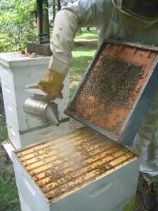 ������ ����������. �������� - ����������� 1