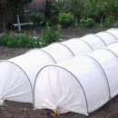 ������ ���������� ��������. - ����������� 2