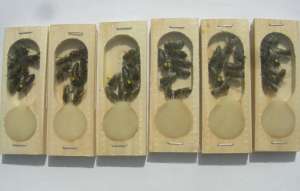 ������ ���������� ��������. - ����������� 1