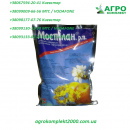 ������� � ����������: ������ ���������� ��������