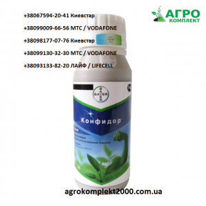 ������ ���������� �������� - ����������� 1