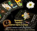 ������� � ����������: ������ ���������� �������� ������. �������. �������� �������� �� ����.