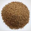 ������ ���������� �������� �������� �����. ������������ ������ - �������/�������