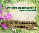 ������ ���������� ����������. ������ ���������� �� ��� �������� �������