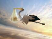 ������� � ����������: ������ ���������� ���������� �������