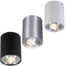 ������� � ����������: ������, ���������� �����������, ���, ������� � ������������ ����� � ���.