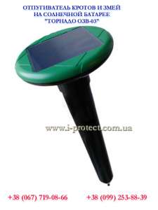 ������ ���������� ������������ ������ ������� ���.03 �� ������ ���� - ����������� 1