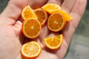 ������ ���������� ������������� - ����������� 1