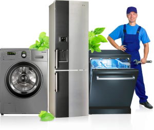 ������ ���������� �����,�������������,����������� - ����������� 1