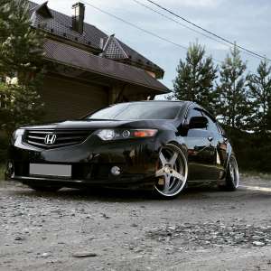 ������ ����������� - ����������� 1