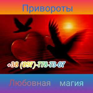 ������ �����������. - ����������� 1