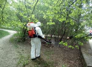 ������ . �����������. - ����������� 1