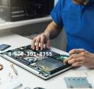 ������� � ����������: ������ ����������� � ���������� �� ����