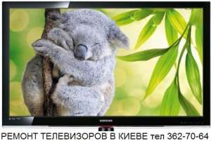 ������ ����������� ���� ������� - ����������� 1