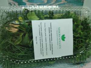 ������ ����������� ����� - ����������� 1