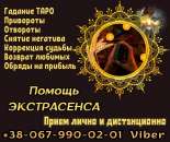 ������� � ����������: ������ �����������. ������ �����. ����������� ����.