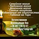 ������� � ����������: ������ �����������. ������ �������� �����.