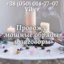 ������� � ����������: ������ �����������. ������ ��������. ���������� �� �����������.