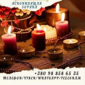 ������ �����������. ������� ������. - ����������� 1