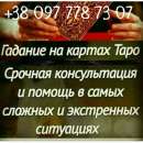 ������� � ����������: ������ �����������. ������� ������.