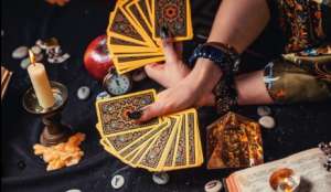 ������ �����������. ������� ������. ������ ��������. - ����������� 1