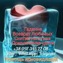 ������� � ����������: ������ �����������. �������. ������. ������������� �����.