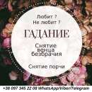 ������� � ����������: ������ �����������. �������. ������� �������.