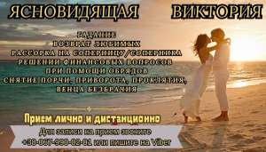 ������ �����������. �������. ���������. ����� �� ��������. - ����������� 1