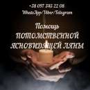 ������� � ����������: ������ �����������. �������. ���������. ������ ��������.