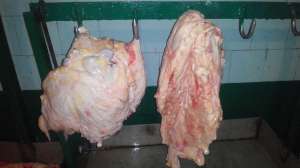 ������ ����������� ������� (������,������, ������, ����, �����, ������, �����,������,�����,������ � ��.) - ����������� 1