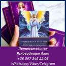 ������� � ����������: ������ �����������. �������� �����. �������.