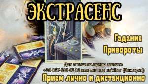 ������ �����������. �������� �����. �������� �� ������. ������ �����������. ���������� ������. ������ �� �������. - ����������� 1