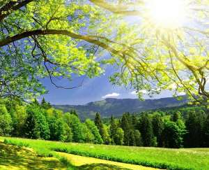 ������ �����������, �������� ������, ����������� - ����������� 1