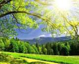 ������� � ����������: ������ �����������, �������� ������, �����������