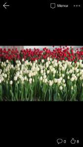 ������ ����������� �������� ������� �����! - ����������� 1