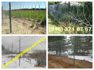 ������ ����������� "��������" , "��������" , "������" � ������ - ����������� 1