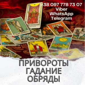 ������ �����������. �������� ��������. ������� ������. - ����������� 1