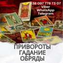 ������� � ����������: ������ �����������. �������� ��������. ������� ������.