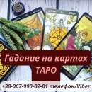 ������ ����������� ��������. �������� �������� ��������. - ����������� 2