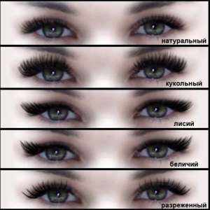 ������ ����������� ��������� - ����������� 1