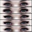 ������� � ����������: ������ ����������� ���������