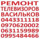 ������ ����������� ��������� - ���������� ���������. ������� ������ - ������