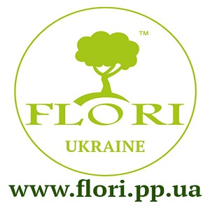 ������ ����������� ���������� ��������� � ������ ����� - ����������� 1