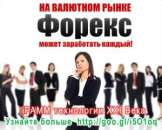 ������ ����������� ������������ � ������������ ipamm �������, ���� ���������� - ����������� 2